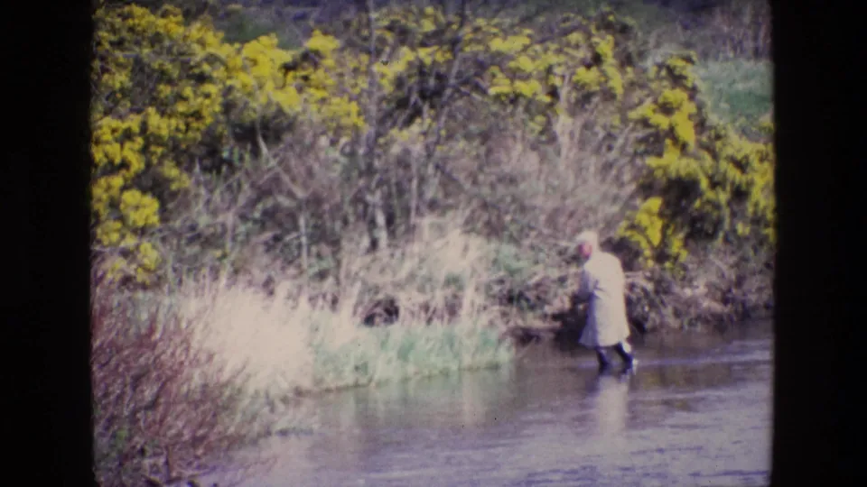 In 1969 Ireland, an adult in a pale jacket and dark wading boots moves through shallow river water near yellow gorse and reeds.
