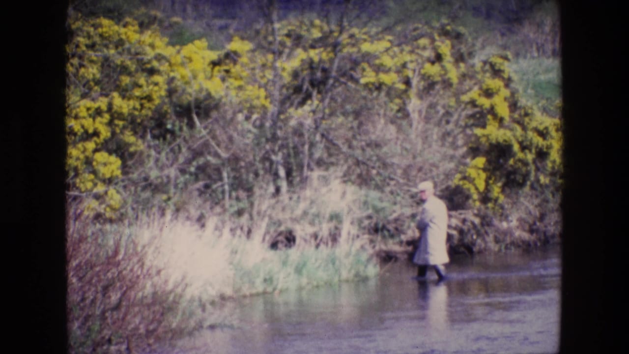 Adult wades near the right side of a shallow river with yellow bushes on the bank.