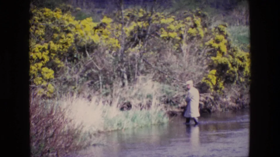 A visible adult in a light jacket continues across shallow water in rural Ireland, with gorse and reeds lining the riverbank.