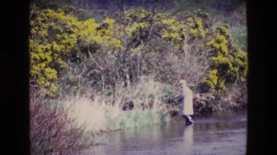 The 8mm frame shows an adult pausing or stepping carefully in an Irish river, surrounded by reeds, scrub, and yellow gorse.