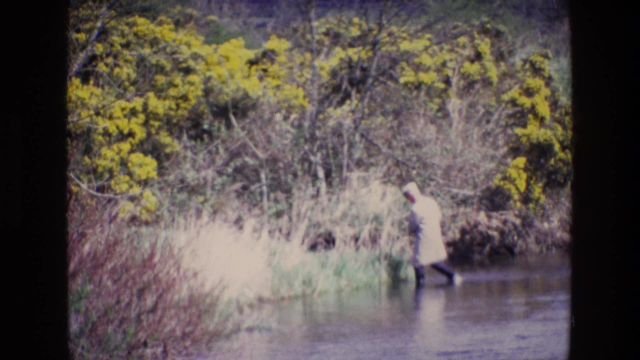 In 1969 Ireland home-movie footage, a distant man in a light coat wades near reeds and yellow gorse along a riverbank.