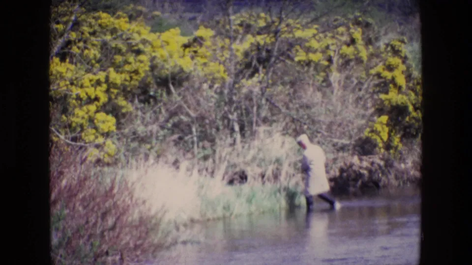 In 1969 Ireland home-movie footage, a distant man in a light coat wades near reeds and yellow gorse along a riverbank.