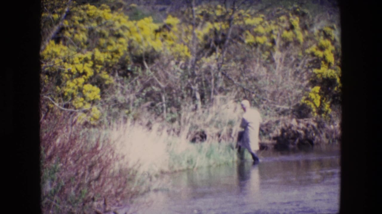 A distant fisherman in pale clothing appears in a shallow Irish river, framed by reeds, scrub, and yellow gorse in 1969 footage.