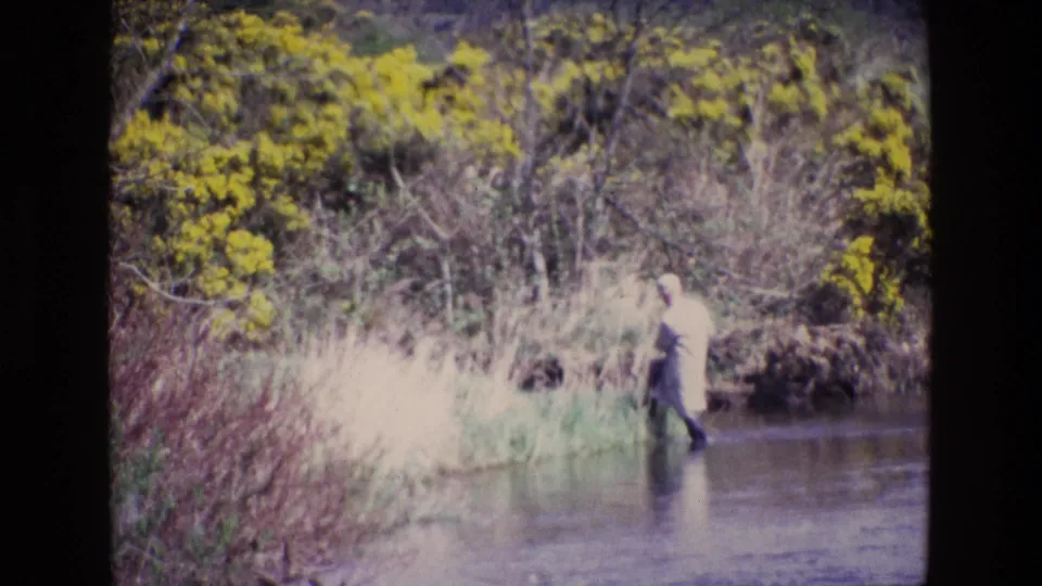A distant fisherman in pale clothing appears in a shallow Irish river, framed by reeds, scrub, and yellow gorse in 1969 footage.
