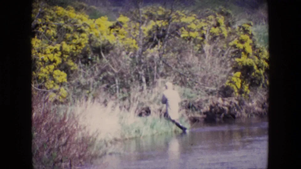 The fisherman wades along the edge of the river in 1969 Ireland, with reeds, yellow gorse, and soft 8mm color around him.