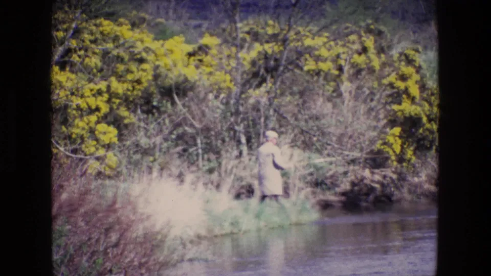 In 1969 Ireland, a man in a light coat and cap stands near a riverbank while fly fishing among grasses and yellow gorse.
