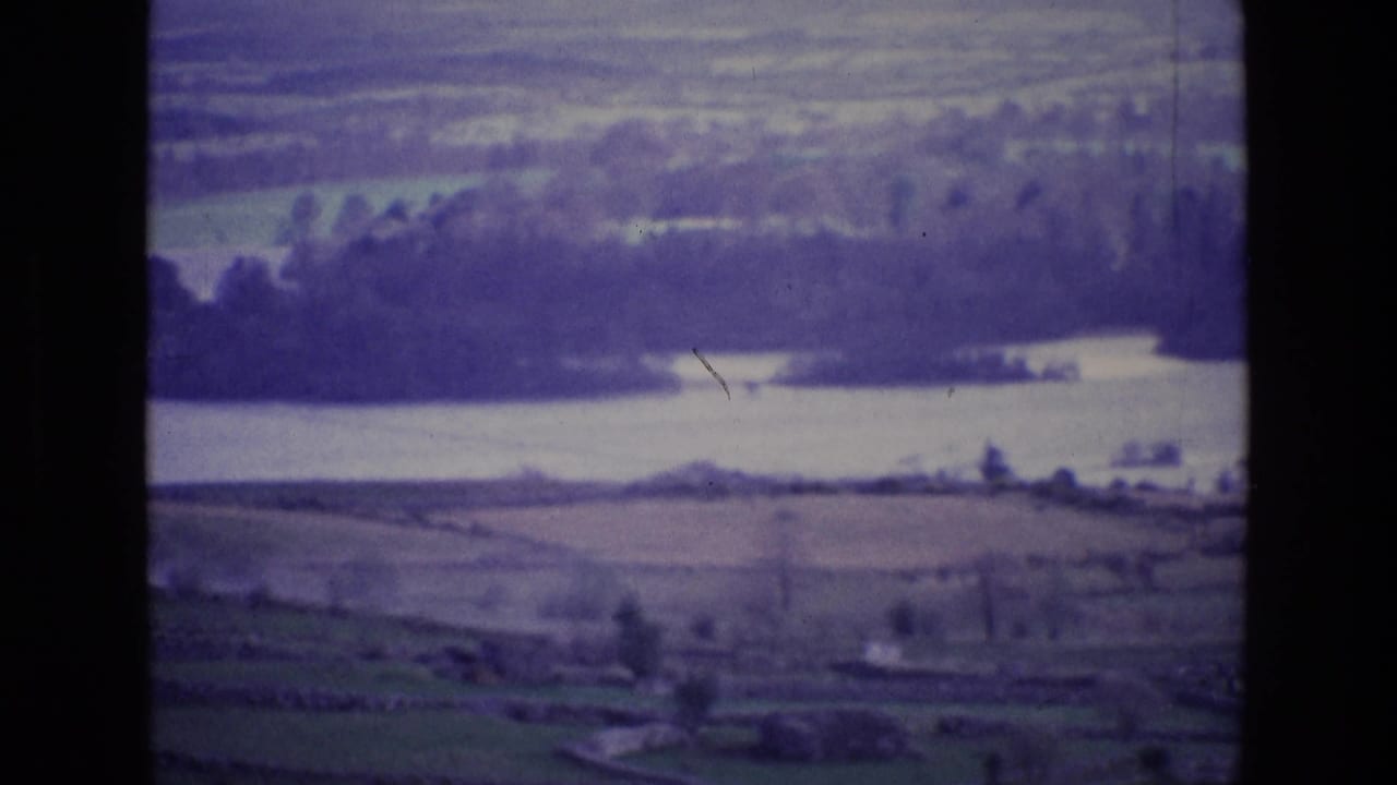 1969 Ireland 8mm aerial view showing patchwork countryside, wooded shoreline, and water with blue-purple film fading.