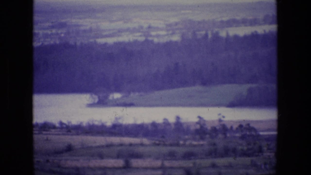 Soft 8mm frame of an Irish lake landscape, with wooded hills, pale water and rural fields under aged purple color shift.