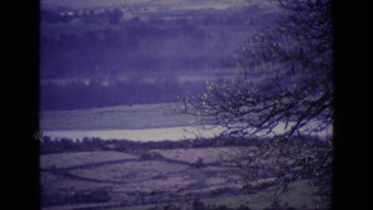 Purple-tinted rural landscape with fields, distant hills, water or pale sky, and bare tree branches.