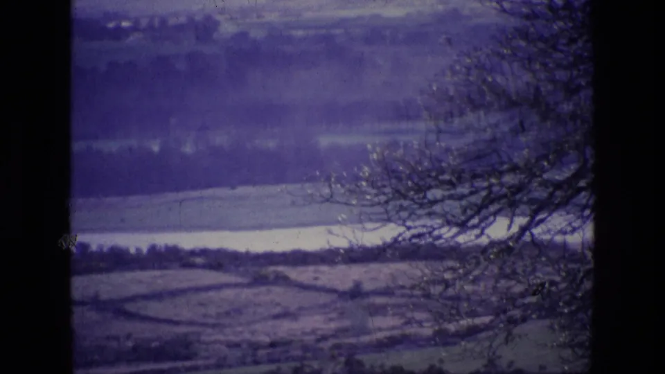 1969 Ireland home-movie frame showing a purple-shifted countryside view with fields, distant hills, and bare branches in the foreground.