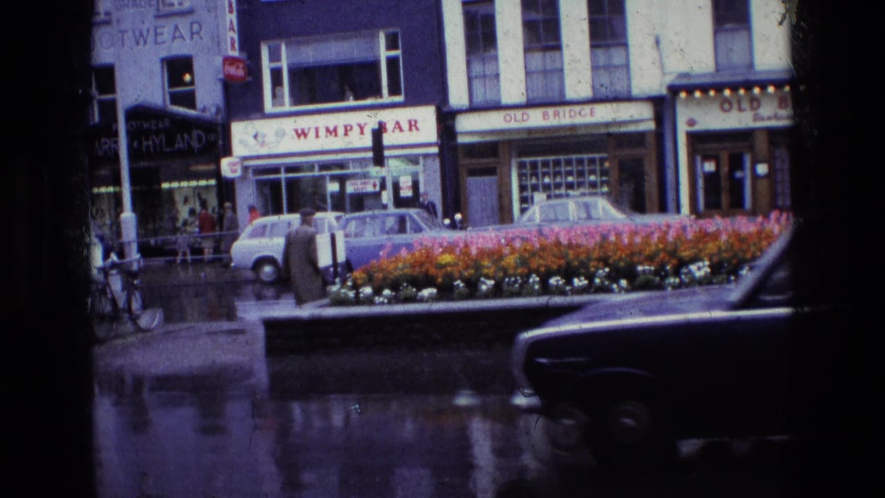 Rainy town street with storefronts, flower bed, pedestrians, traffic lights, and cars at an intersection.