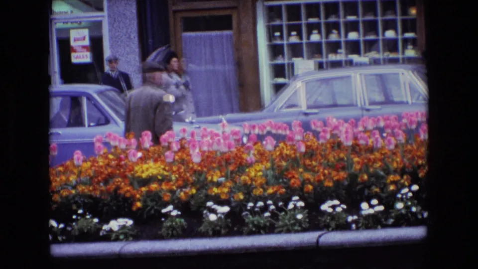 1969 Ireland street scene with pink and orange flowers in front, parked cars behind, and pedestrians near restaurant windows.