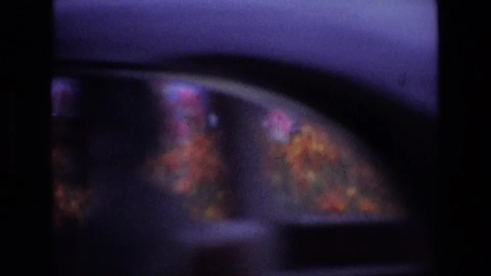 Soft 8mm frame of pink and orange flowers near a parked car, likely from the 1969 Ireland travel footage.