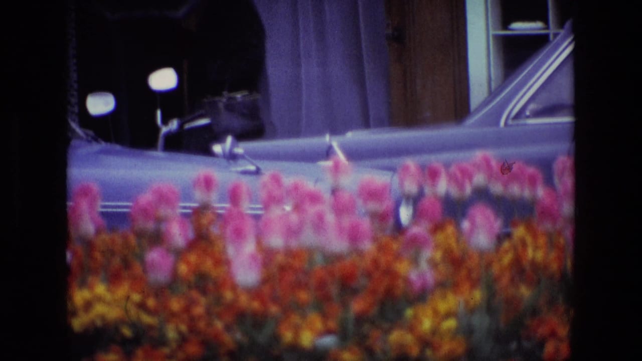 Pink flowers and orange planting in front of a parked blue sedan.