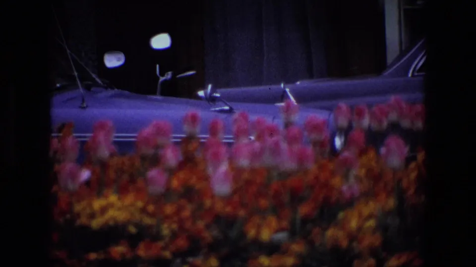 Soft handheld 8mm view of flowers in front of a parked vintage car, with vehicle details visible above the blooms.