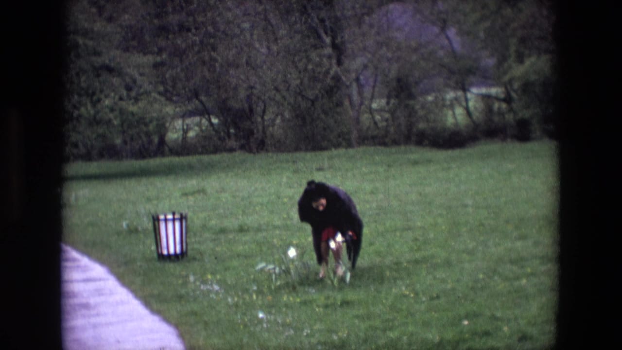 In the rural Irish field, the woman bends down to look closely at white flowers near the paved path.