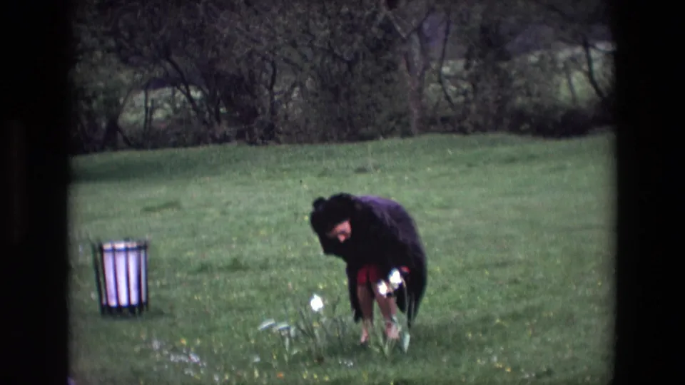 The 1969 Ireland home-movie frame shows the woman crouched over flowers in a green field near a striped bin or planter.