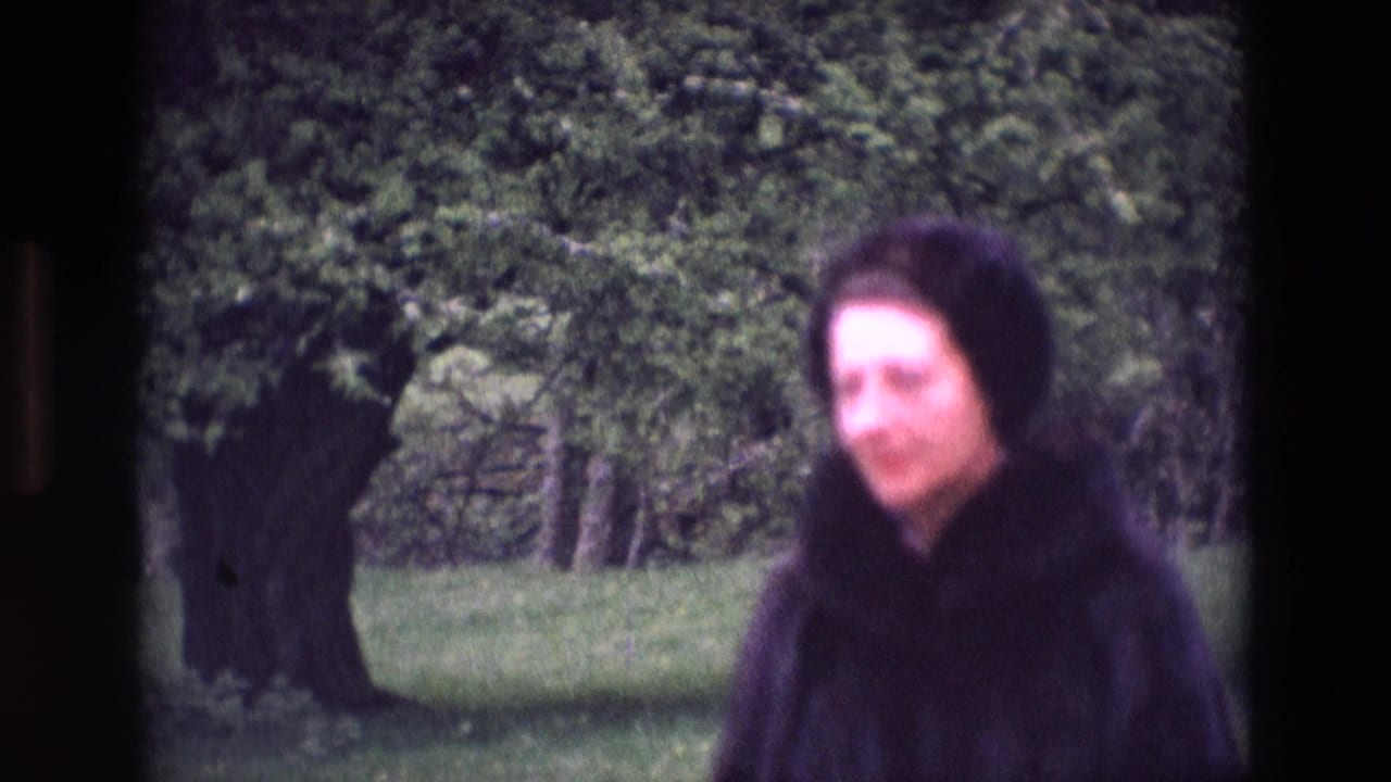 Woman in a dark coat and hat walking in a green park near large trees.
