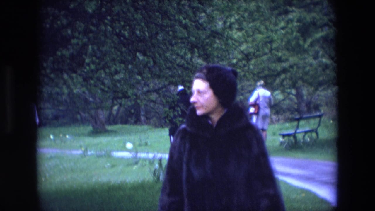 The woman stands in profile in an Irish park, wearing a dark fur coat and hat beside a wet-looking paved path.