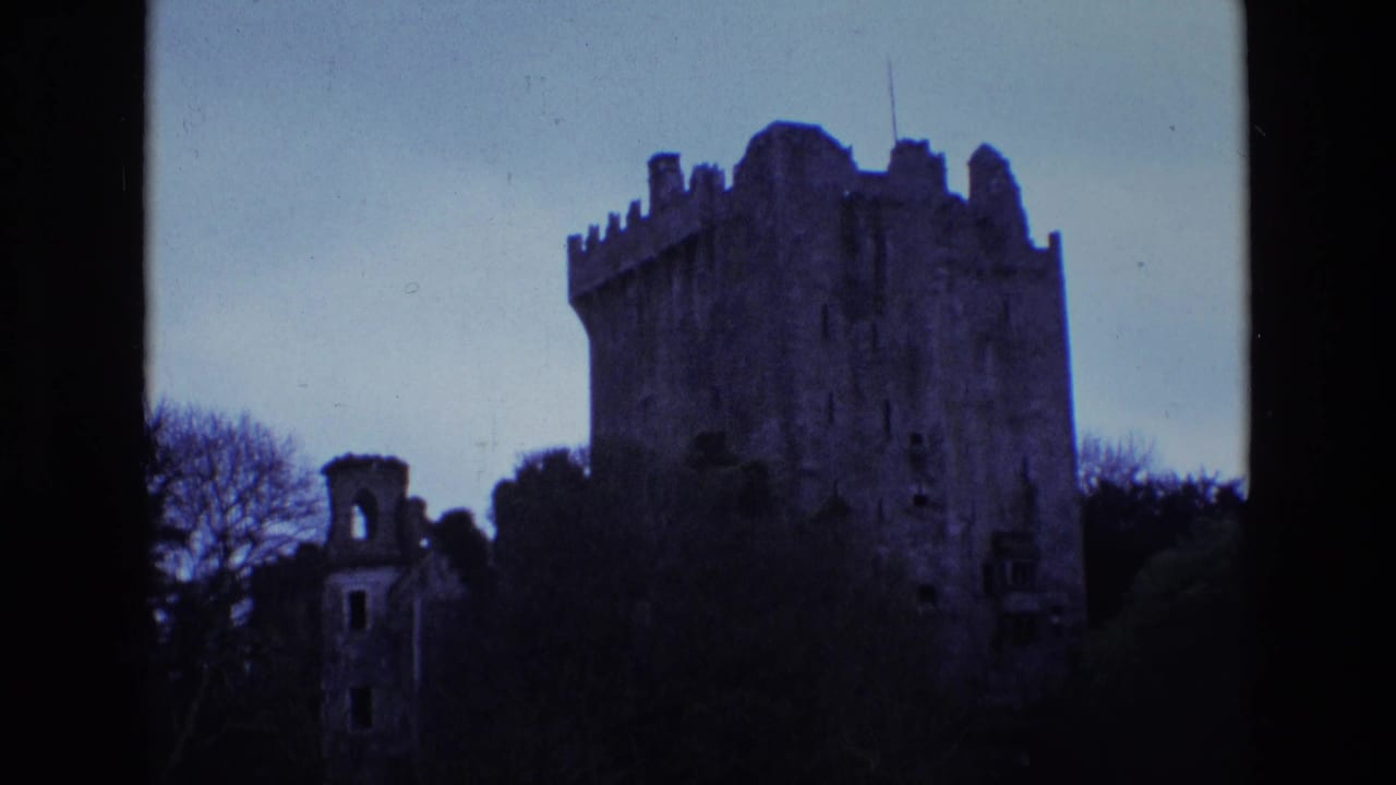 Stone castle tower and smaller ruin framed by trees under a pale sky.