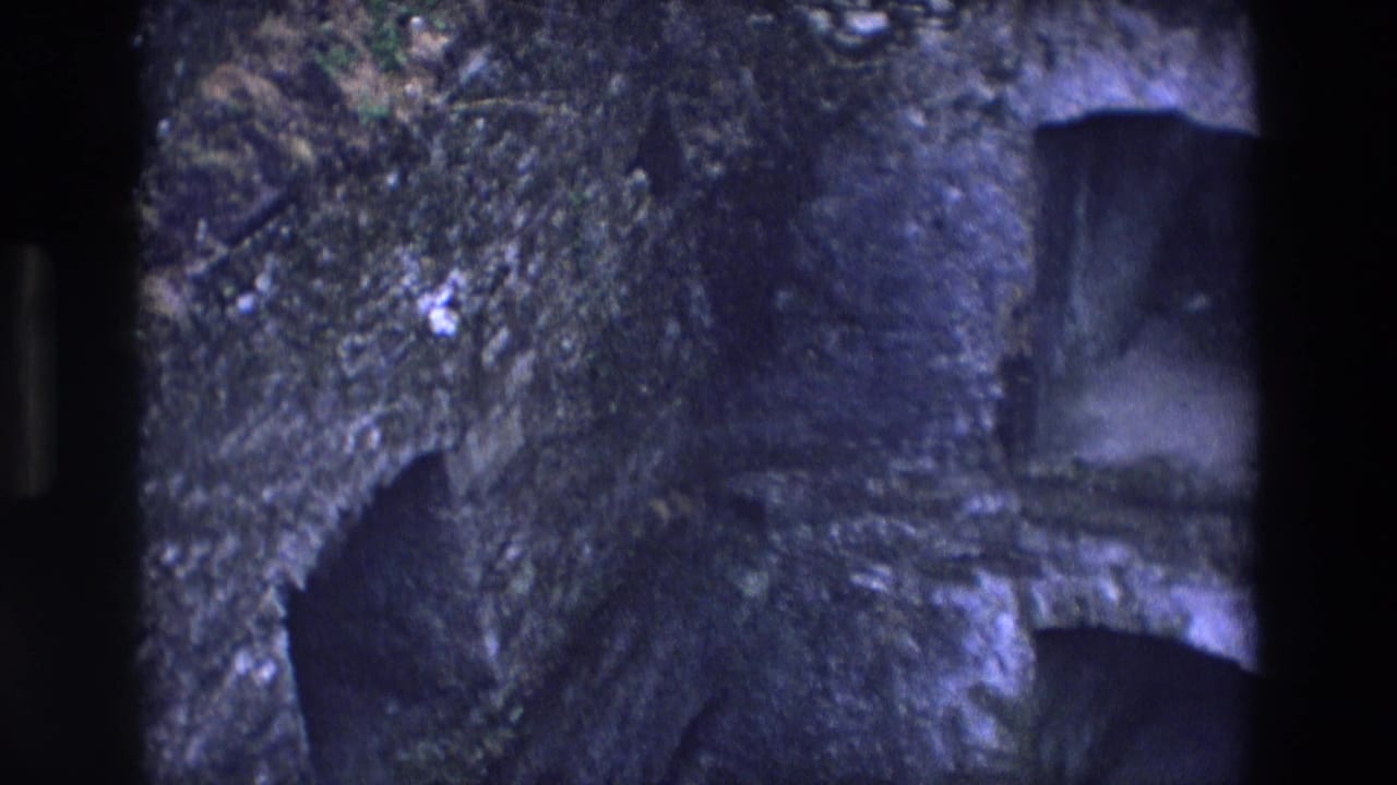 Dark arched tunnel entrance set into a mossy stone or rock face.