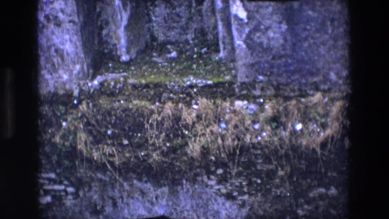 Mossy stone chapel wall with overgrown vegetation and rubble inside the ruin.