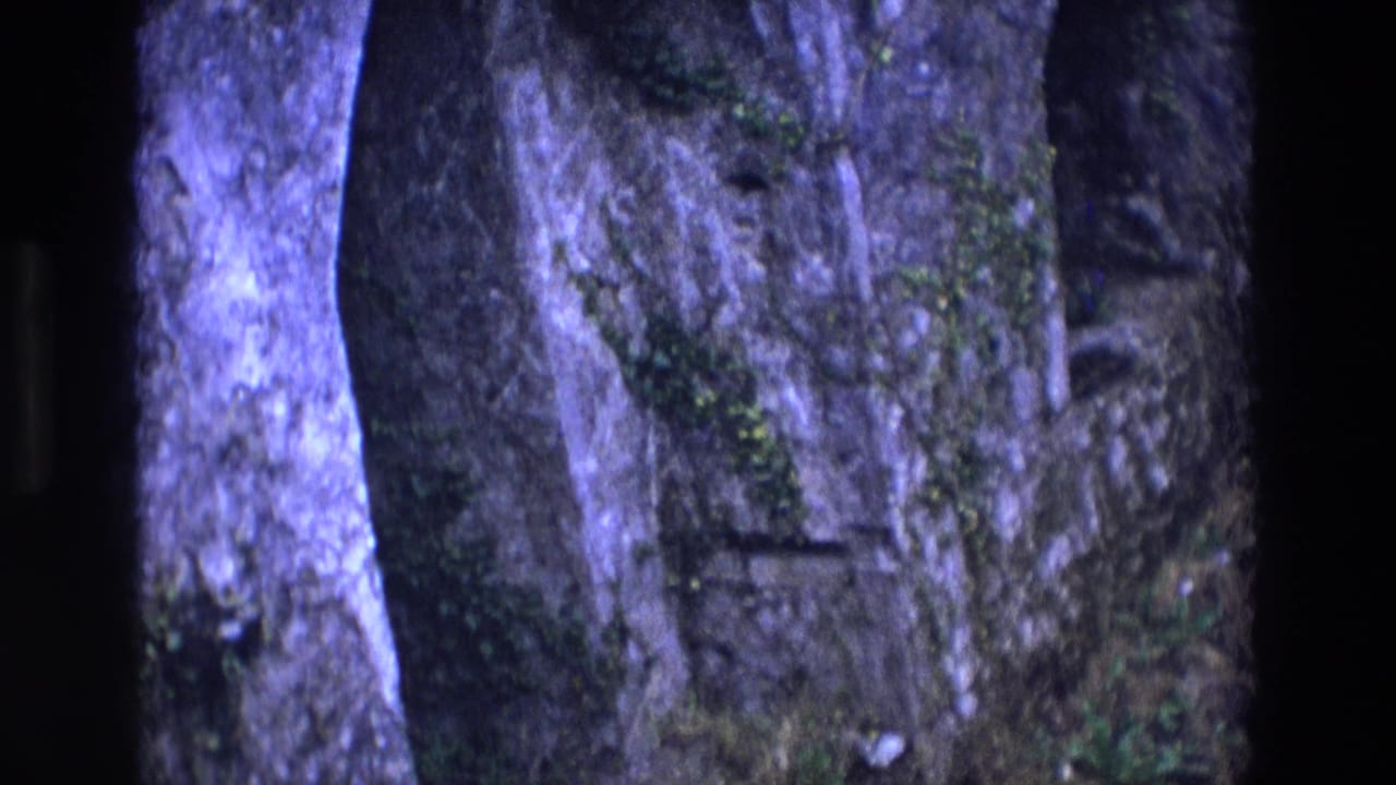 Close 8mm view of Irish stonework with moss, ivy, and a shadowed vertical opening or edge.