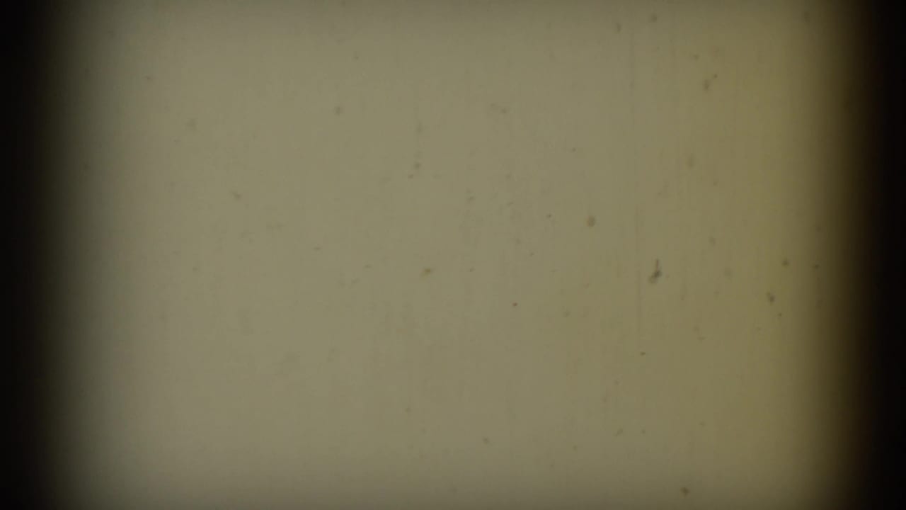 Yellowed, mostly blank 8mm frame with dark edge bands and visible dust.