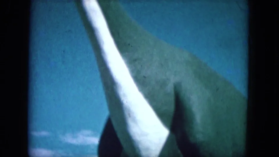 1969 Lake Canyon 8mm frame with a close, cropped view of the animal, its pale horn or tusk, blue sky, and faint horizon line.
