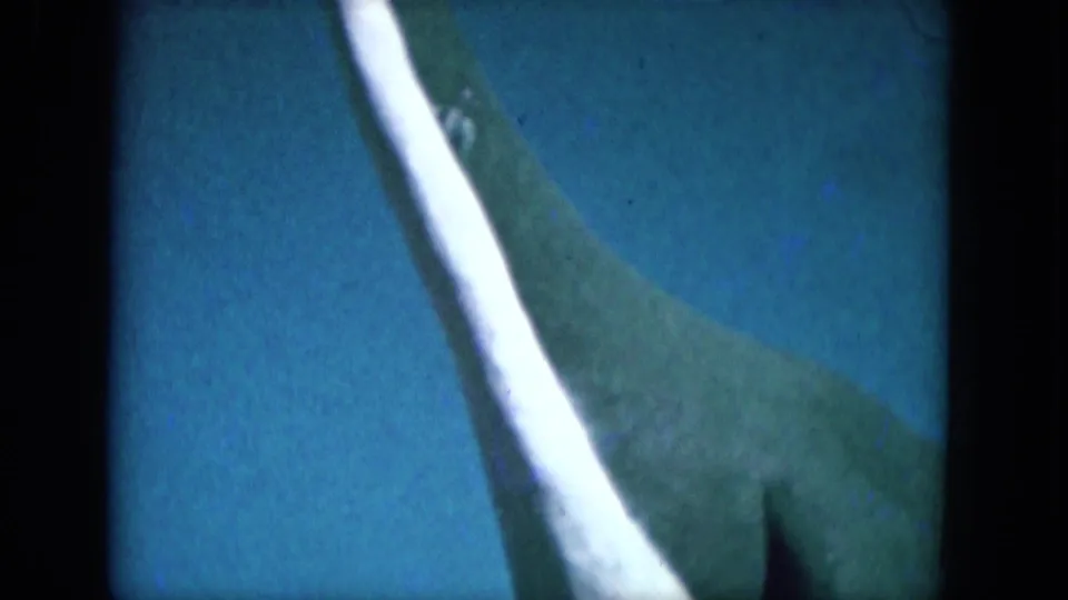 Blue-shifted 1969 8mm frame from Lake Canyon showing the pale horn or tusk and cropped body of an unidentified large animal.