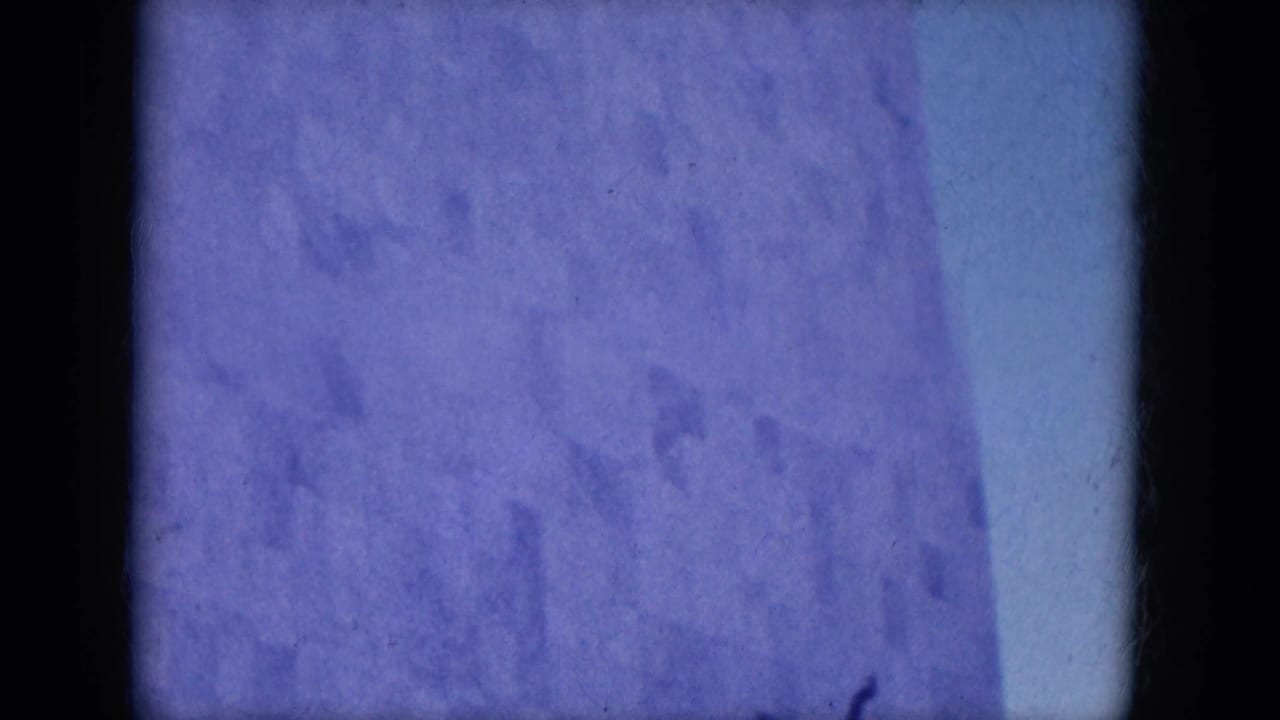 Blue-tinted close view of pale vertical building panels with dark film edges.