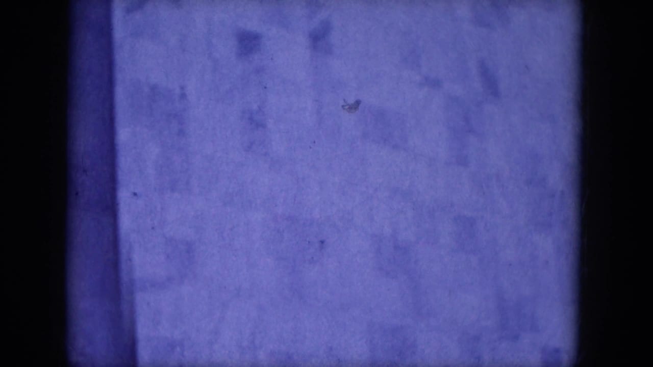 Blue-tinted exterior wall surface with vertical dark bands and soft film grain.