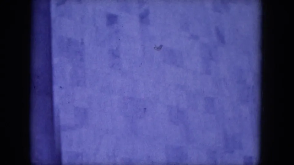 Blue-shifted 8mm view of an urban exterior wall with vertical bands, mottled surface texture, and limited architectural detail.