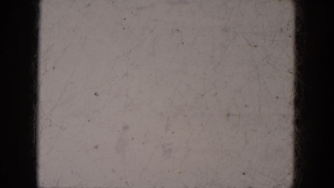 Blank off-white 8mm frame with dark borders, dust specks, and fine scratches.