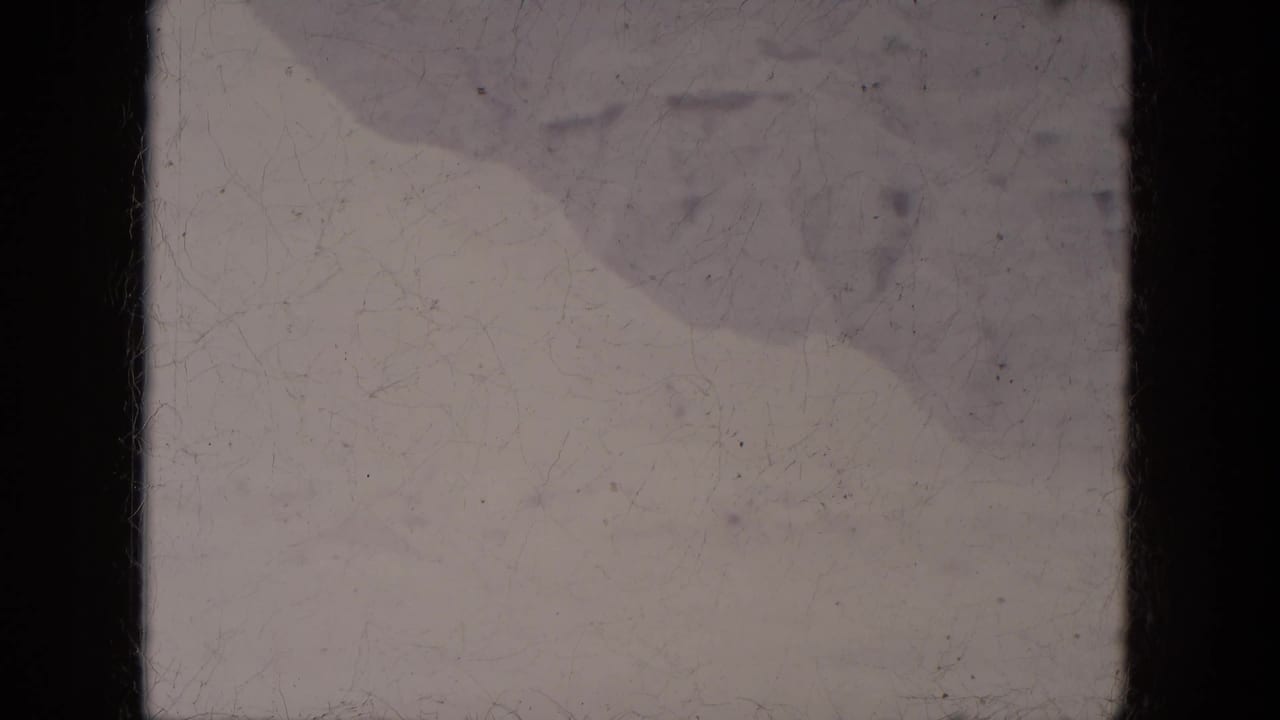 Pale snowy field with rounded snow humps and visible film scratches.