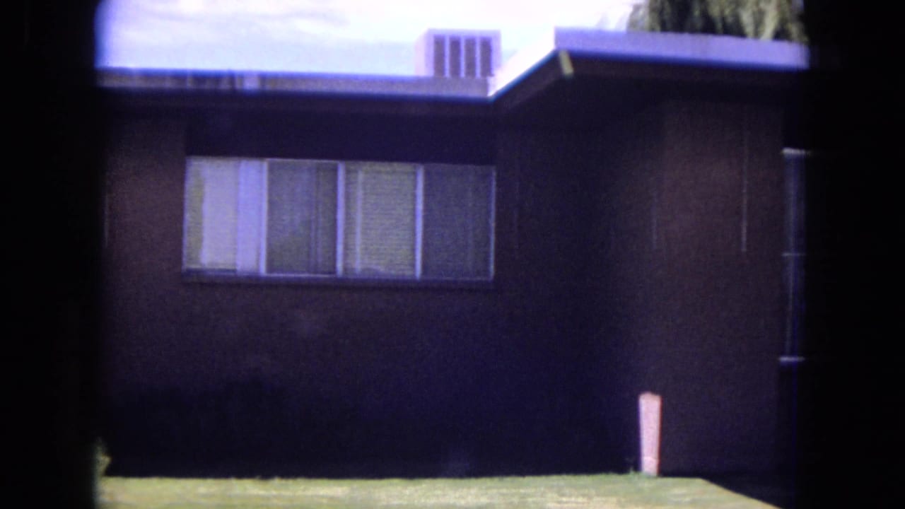 Dark-sided single-story house with windows and a strip of lawn in front.