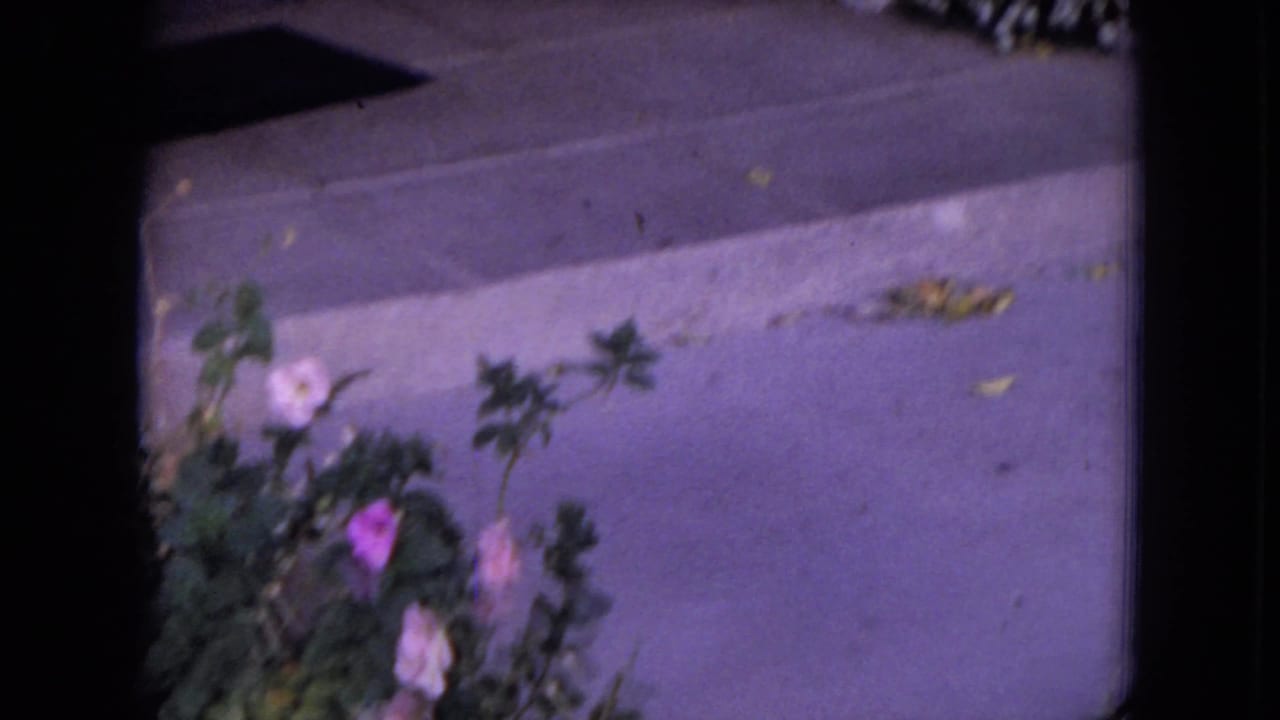 1970 8mm frame from White Sands, Florida, with a softly focused garden edge, pink and white flowers, concrete curb, and dark film borders.