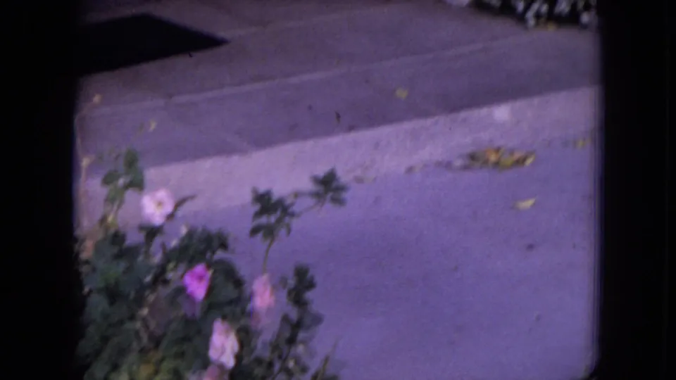 1970 8mm frame from White Sands, Florida, with a softly focused garden edge, pink and white flowers, concrete curb, and dark film borders.