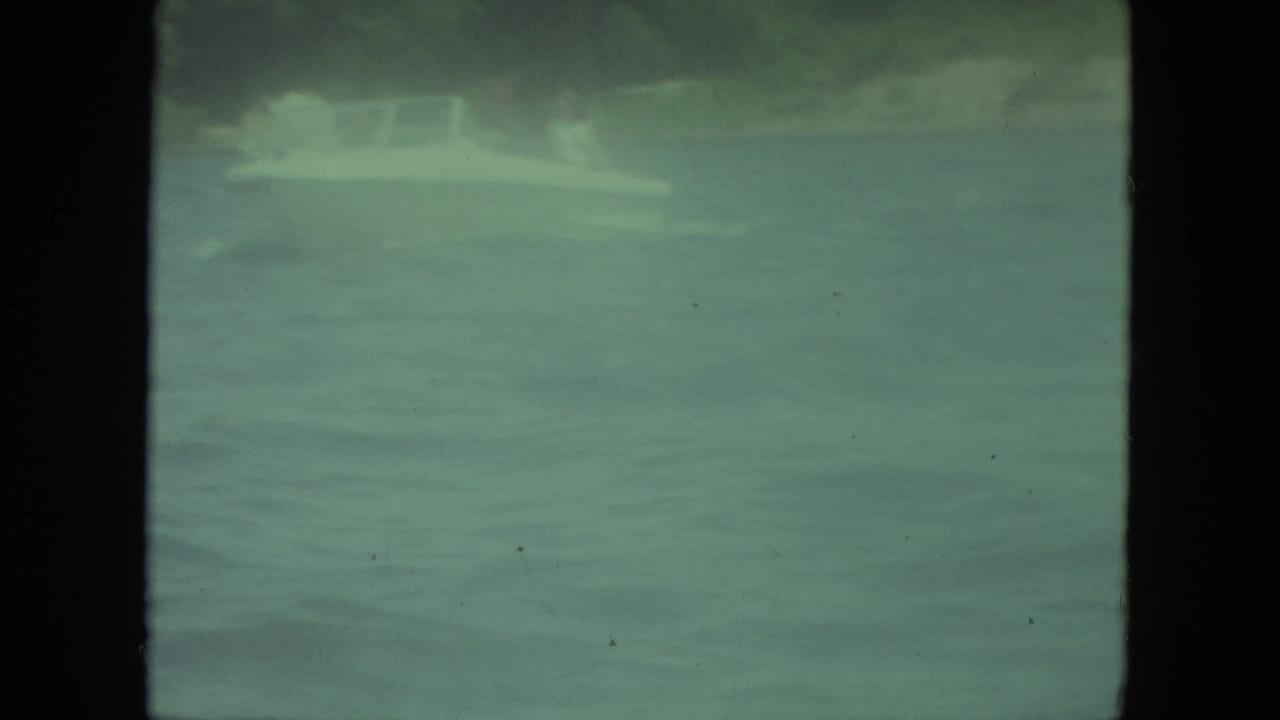 Small white boat moving across calm green-blue water near a wooded shoreline.