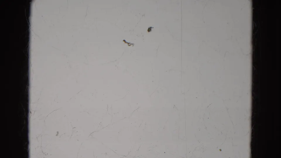 1968 8mm frame from Diller, Nebraska showing blank film stock, dark vertical edges, dust spots, scratch marks, and faint banding.
