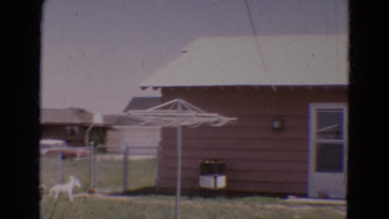 Diller, Nebraska backyard in 1968 with a brown-sided house, rotary clothesline, fence, grass, and small white dog near the yard edge.