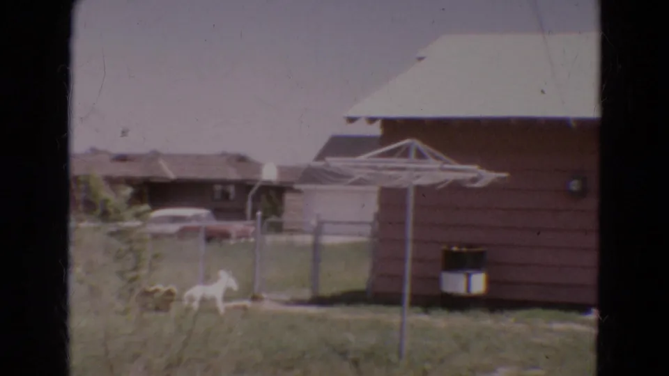 1968 Diller backyard view with a small white dog in grass, a rotary clothesline, brown house siding, fence, and a car in the distance.