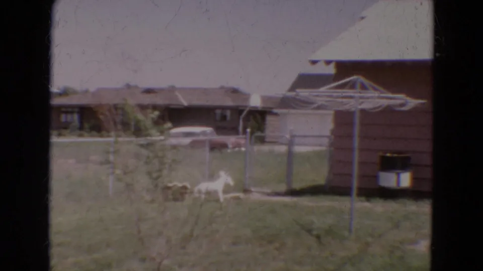 Diller, Nebraska home-movie frame showing a fenced backyard, small dog, rotary clothesline, brown-sided house, and period car beyond the yard.