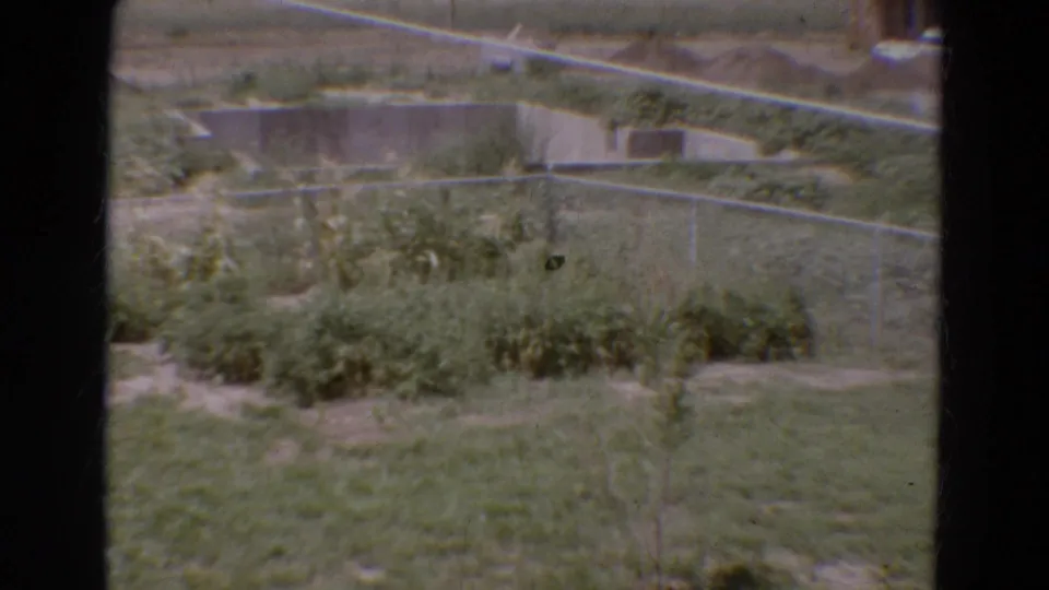 1968 Diller, Nebraska backyard frame with garden growth, chain-link fencing and lawn recorded on faded 8mm film.