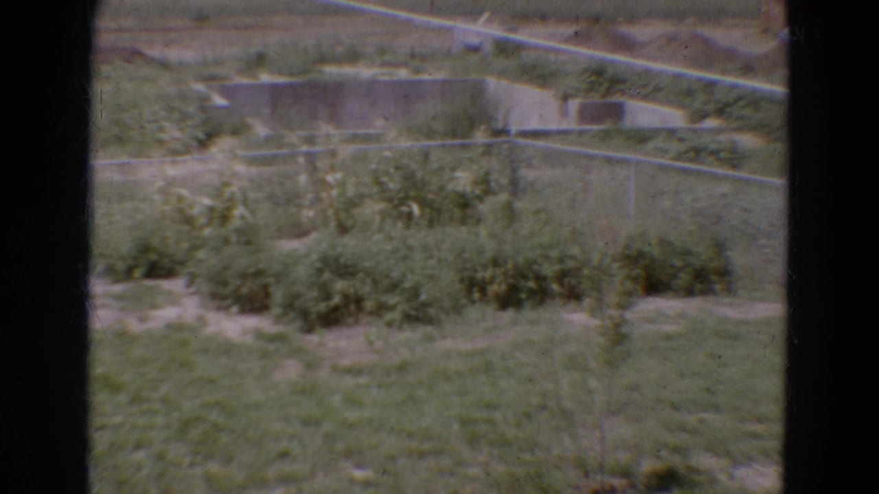 Overgrown fenced lot seen through a dark window frame.