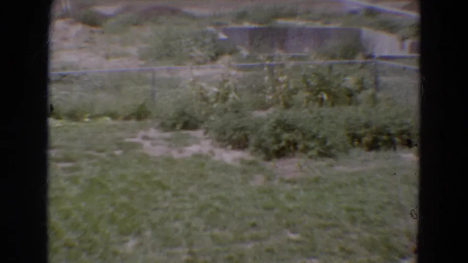 1968 Diller, Nebraska view across an overgrown lot with chain-link fencing, scattered shrubs, pale dirt, and low concrete structures.