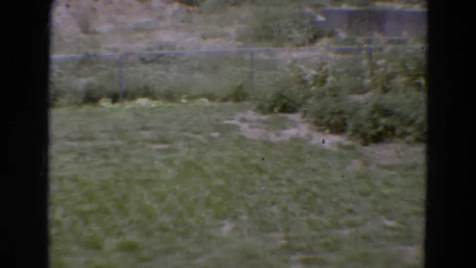 A 1968 8mm frame from Diller, Nebraska shows an overgrown fenced lot with shrubs, dirt paths, and low concrete structures beyond a dark vertical frame.