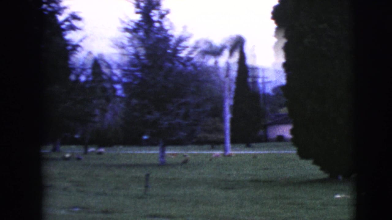 A 1968 home-movie frame shows a grassy cemetery in Clarksdale, Arizona with trees, low markers, and muted color.