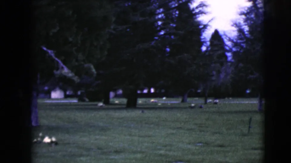 Clarksdale, Arizona cemetery footage from 1968 shows a low, grassy view with trees and scattered grave markers in soft focus.