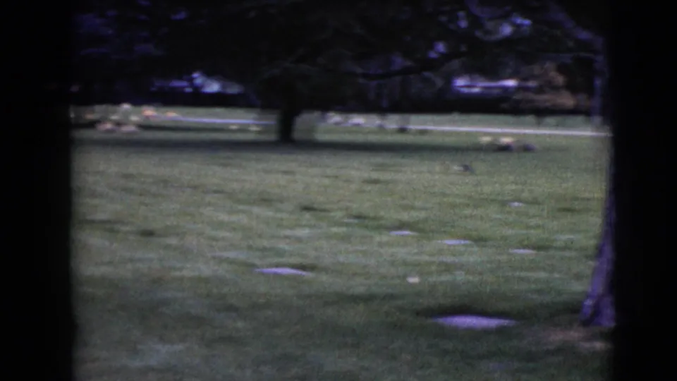 1968 8mm view of a quiet Clarksdale, Arizona cemetery lawn with scattered flat headstones and mature trees.